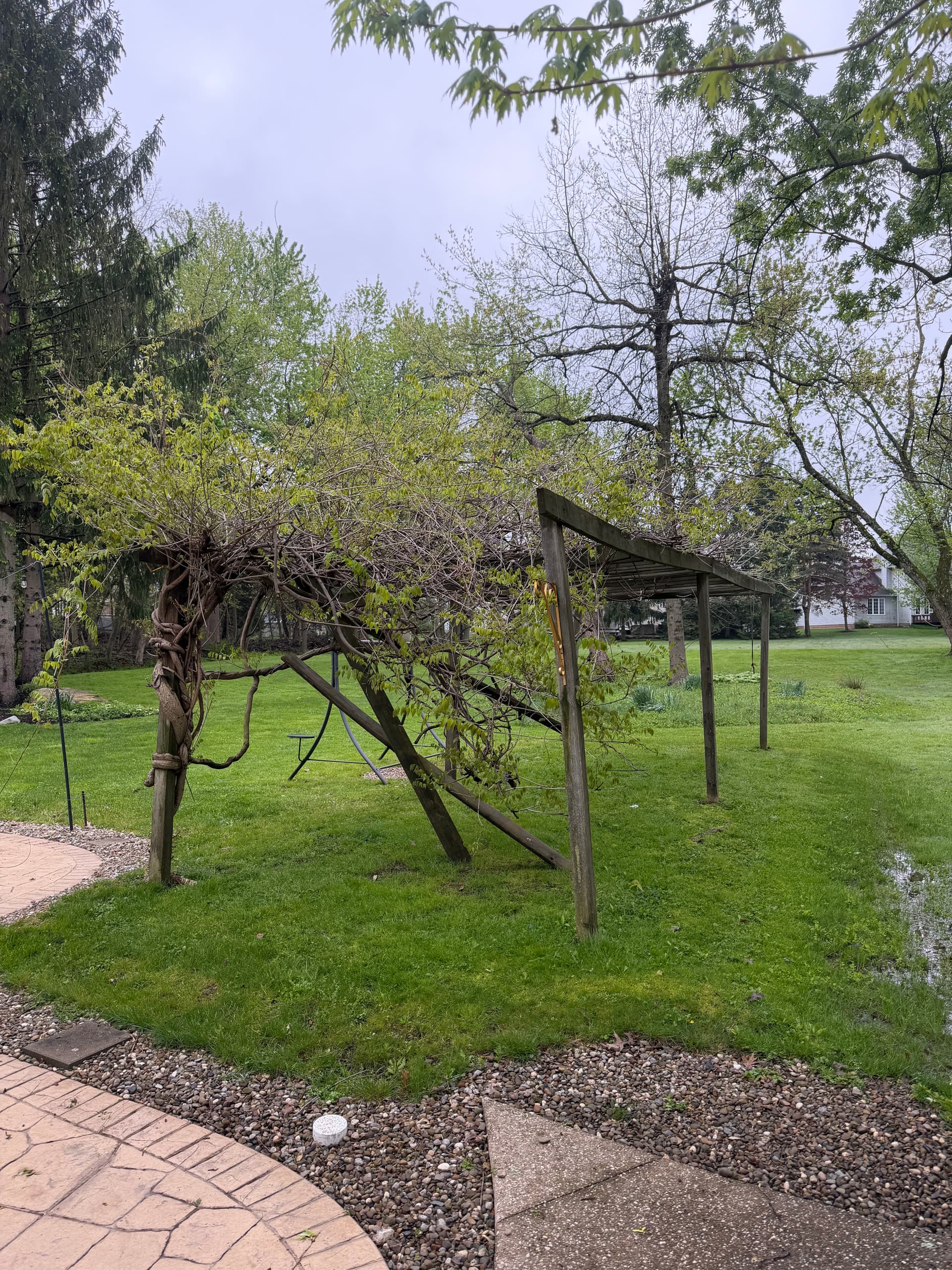 Old Pergola Torn Down and Rebuilt From the Ground Up