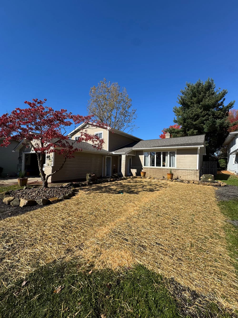 Home exterior with autumn foliage, straw-covered yard, and clear blue sky.