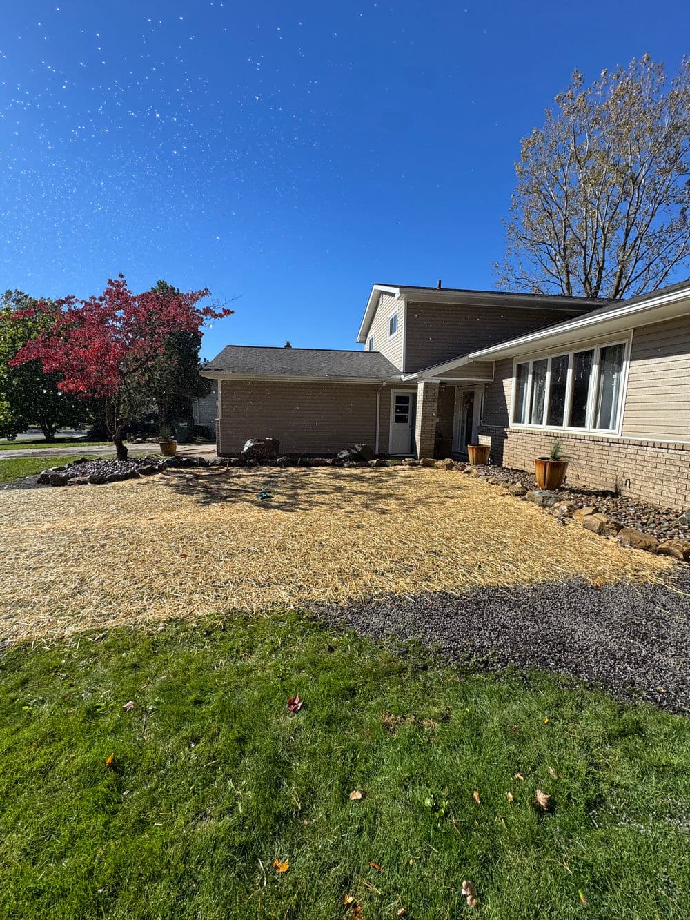 Residential yard renovation with straw laid over freshly seeded lawn and landscaping details.