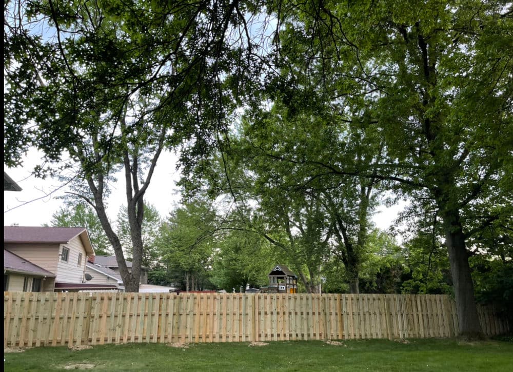 Lush backyard view with wooden fence, tall trees, and playset in a residential area.