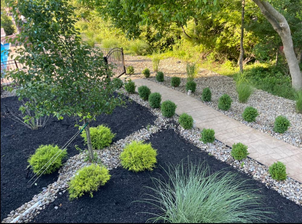 Lush garden pathway surrounded by ornamental shrubs and decorative gravel landscaping.