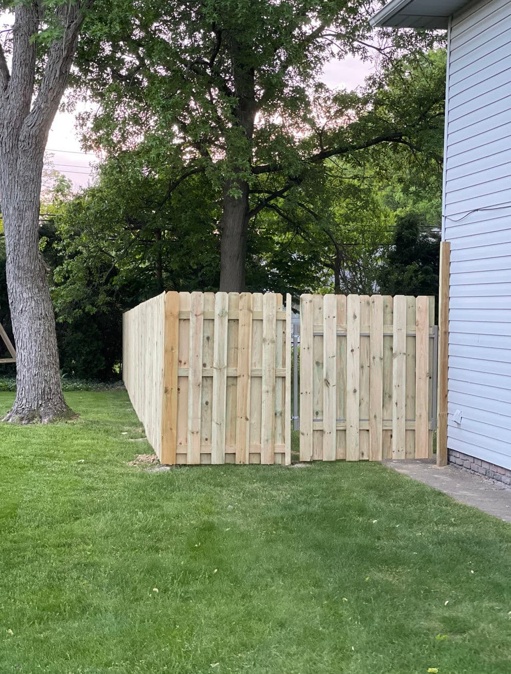 New wooden fence in a residential yard with green grass and surrounding trees.