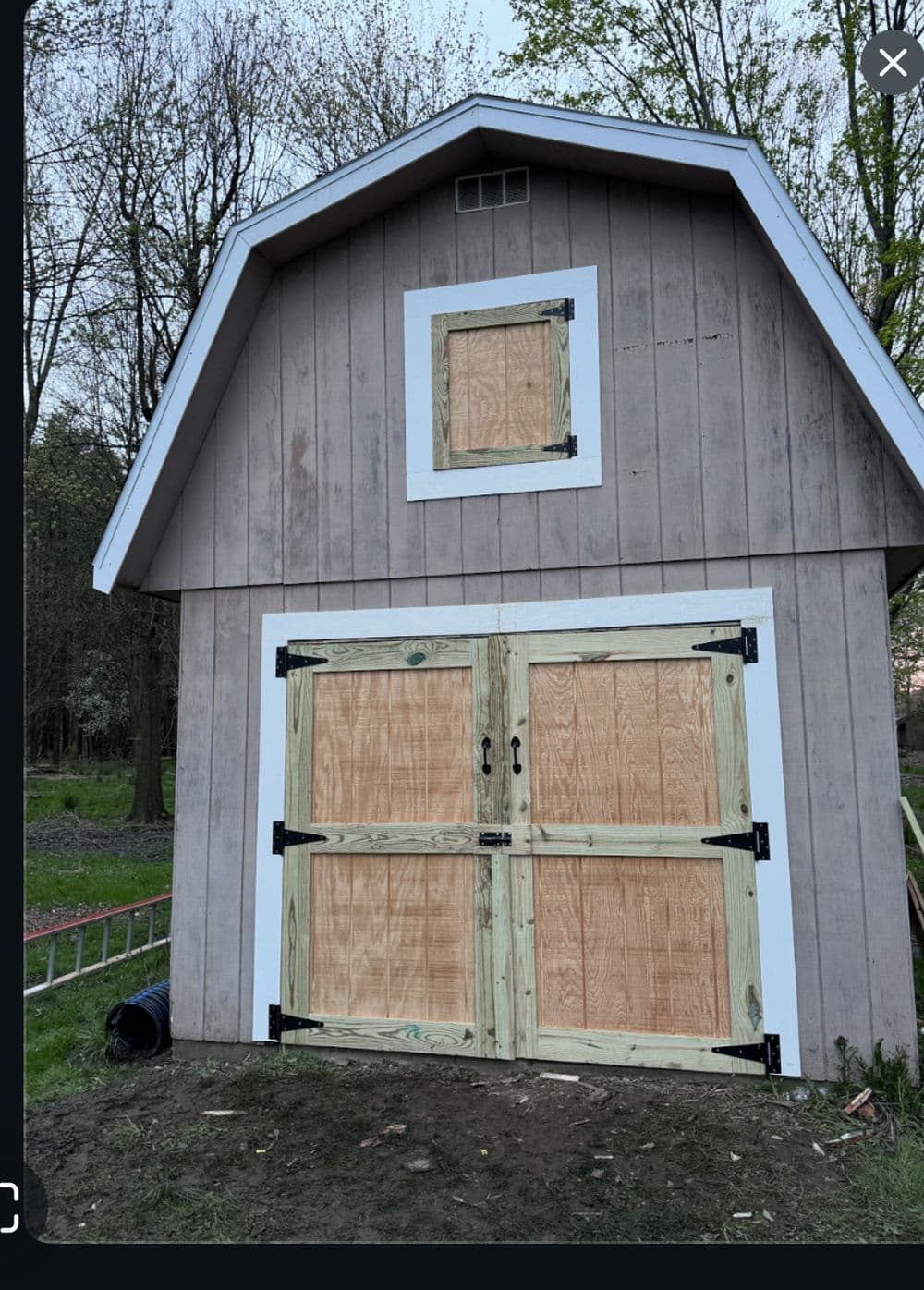 Barn with boarded-up windows and doors, surrounded by trees and a ladder nearby.